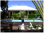 piscine et jardin pommes kannelles guadeloupe saint franois